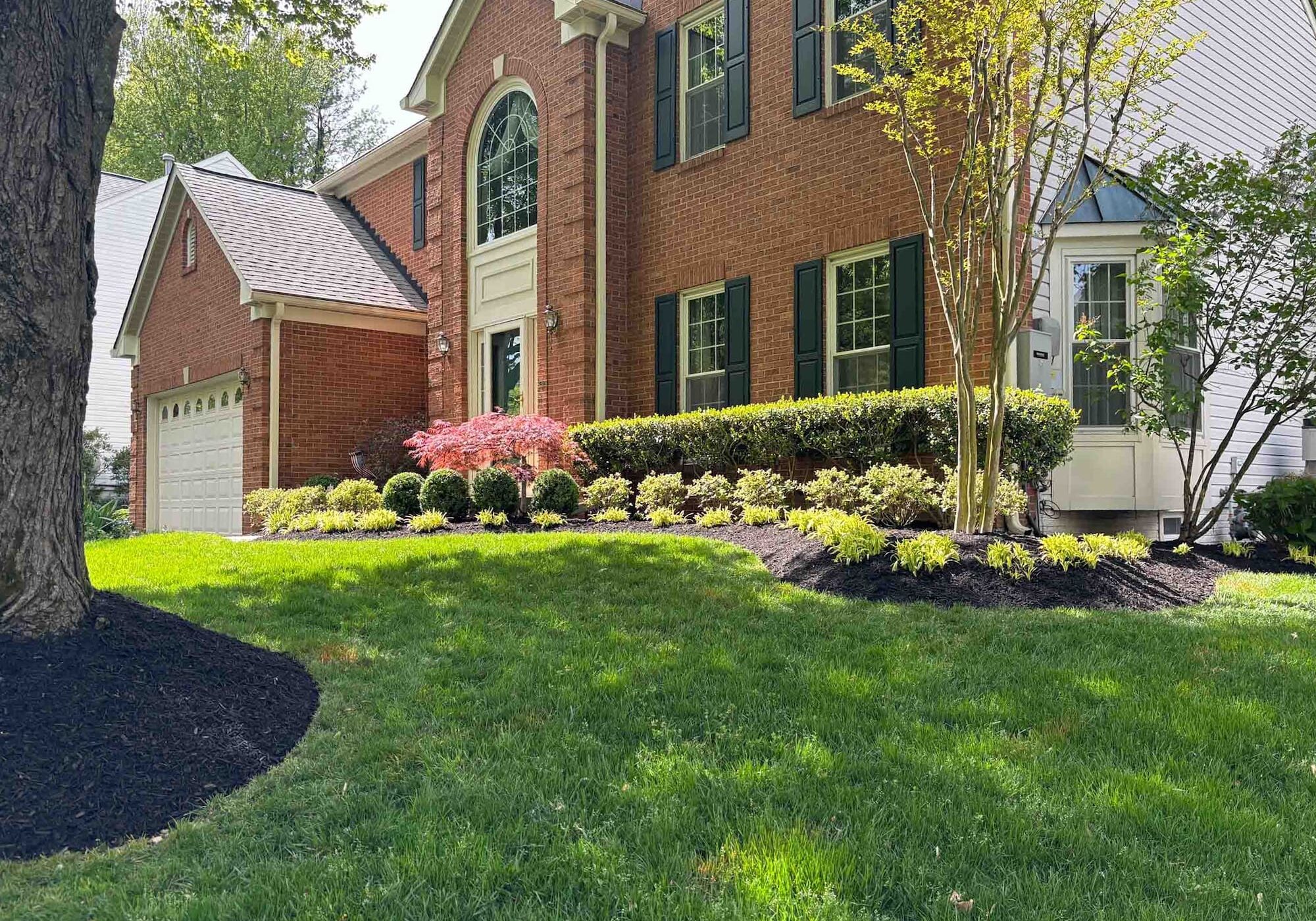 50% off your landscape design! 50% off your landscape design!