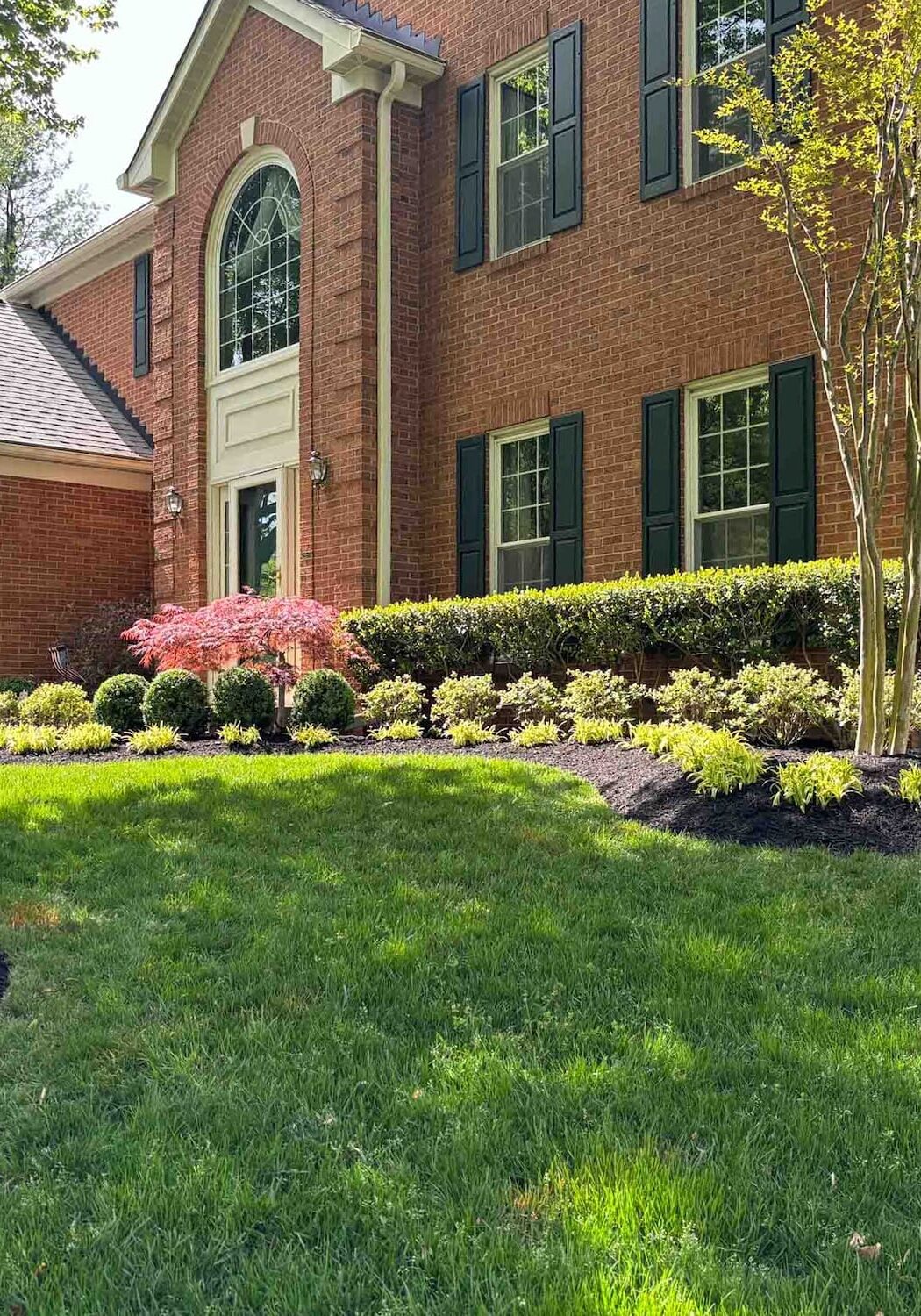 50% off your landscape design!