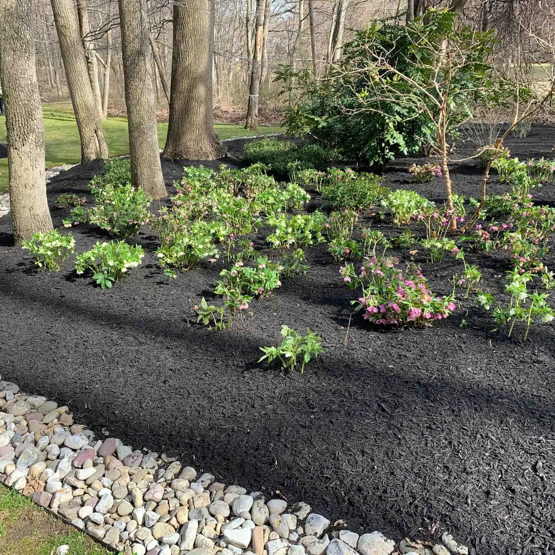 Glenwood, MD Landscaping Companies