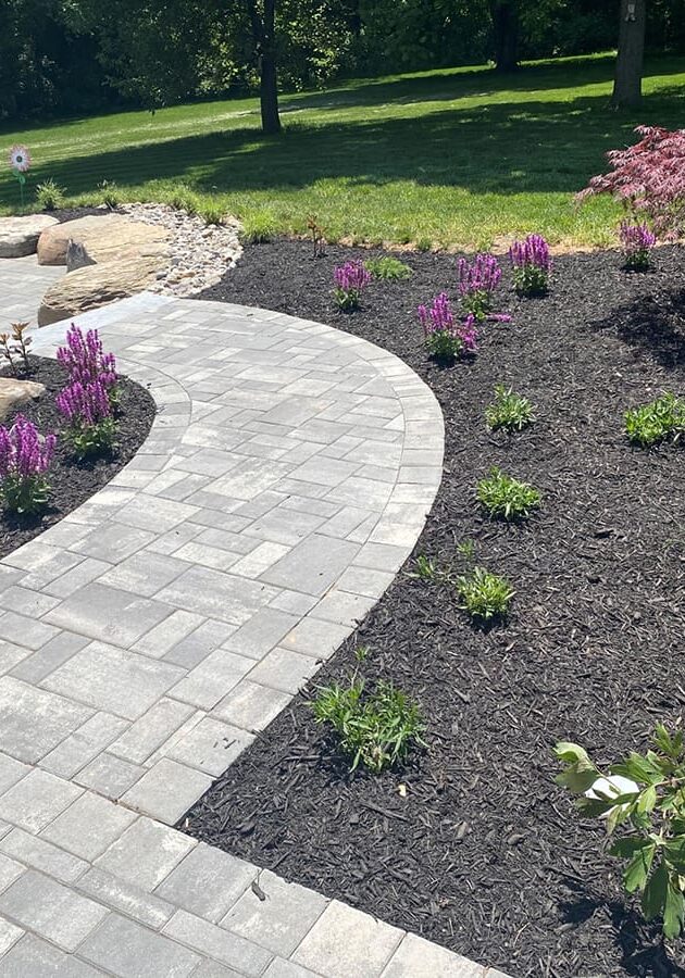 dorseypaver1